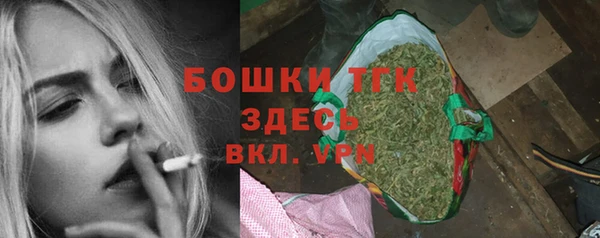 стафф Алексин