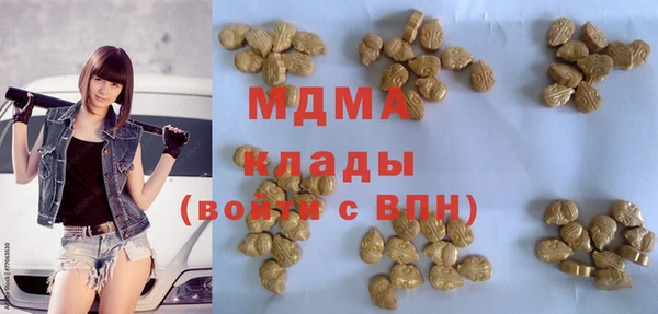 стафф Алексин