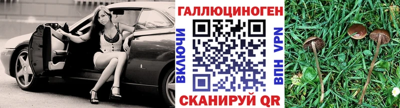 Псилоцибиновые грибы Psilocybe  где найти   гидра онион  Неман 